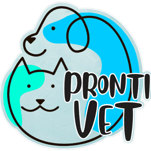 Veterinario a domicilio en Cataluña