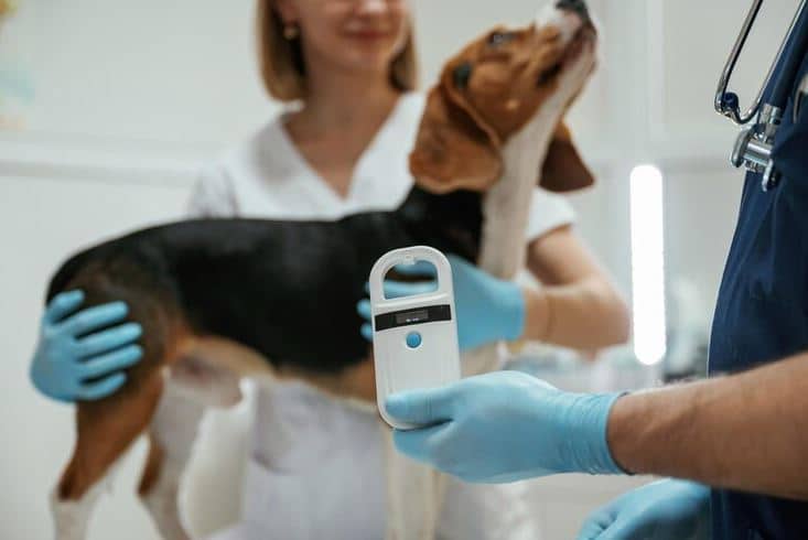 Microchip para perros